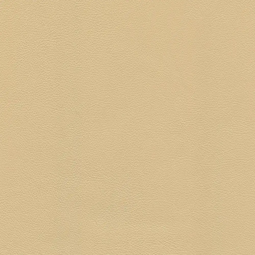 Cappuccino leather