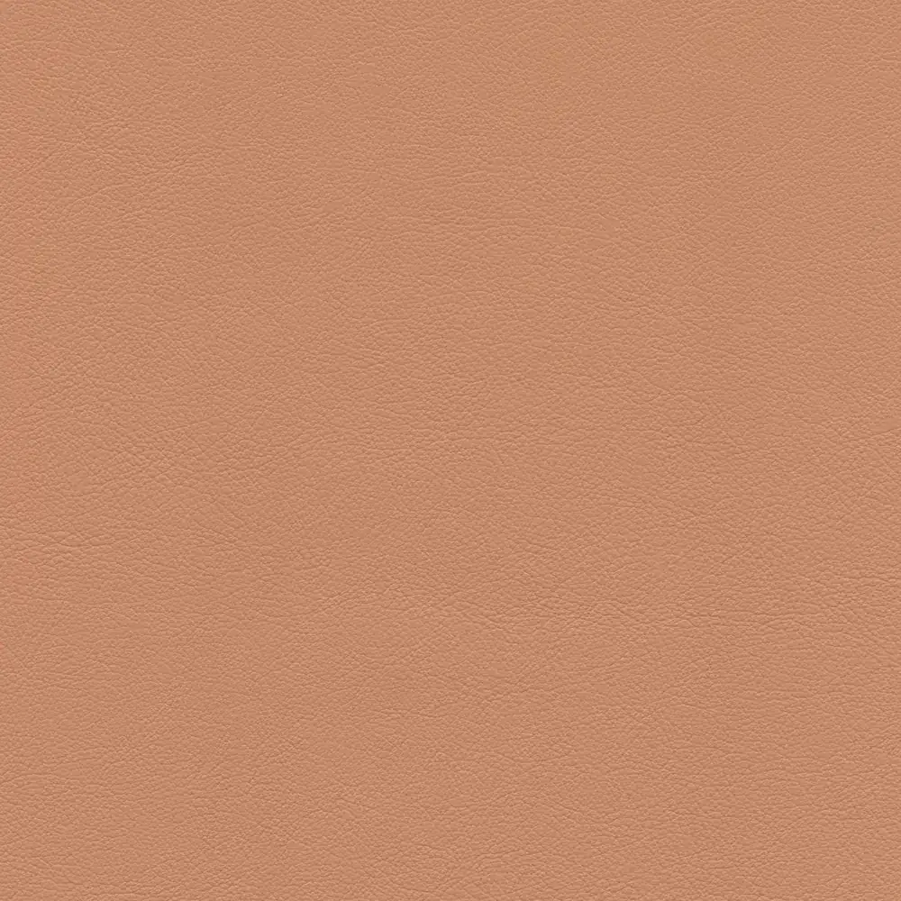 Dust Rose leather