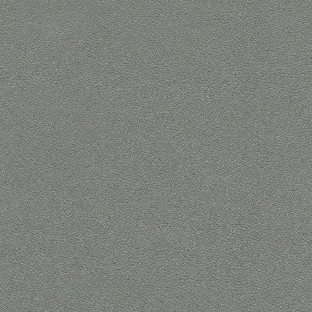 Graphite leather