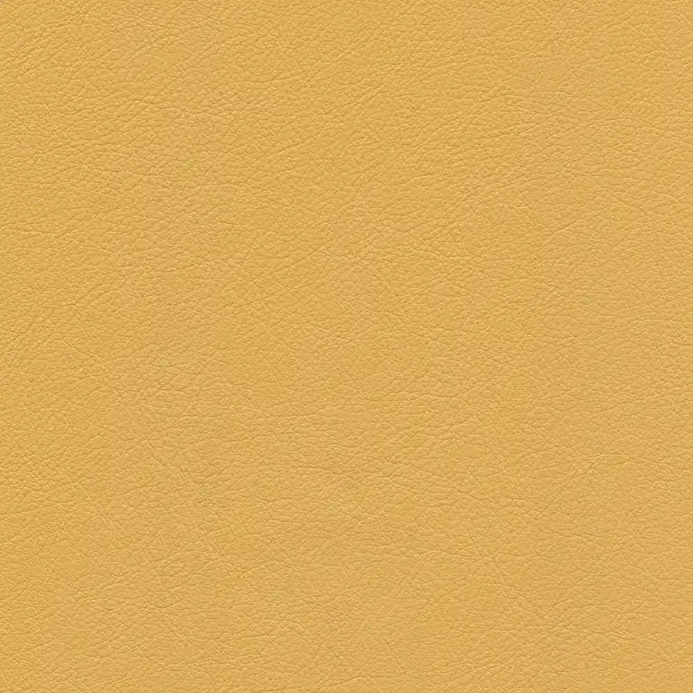 Maize leather