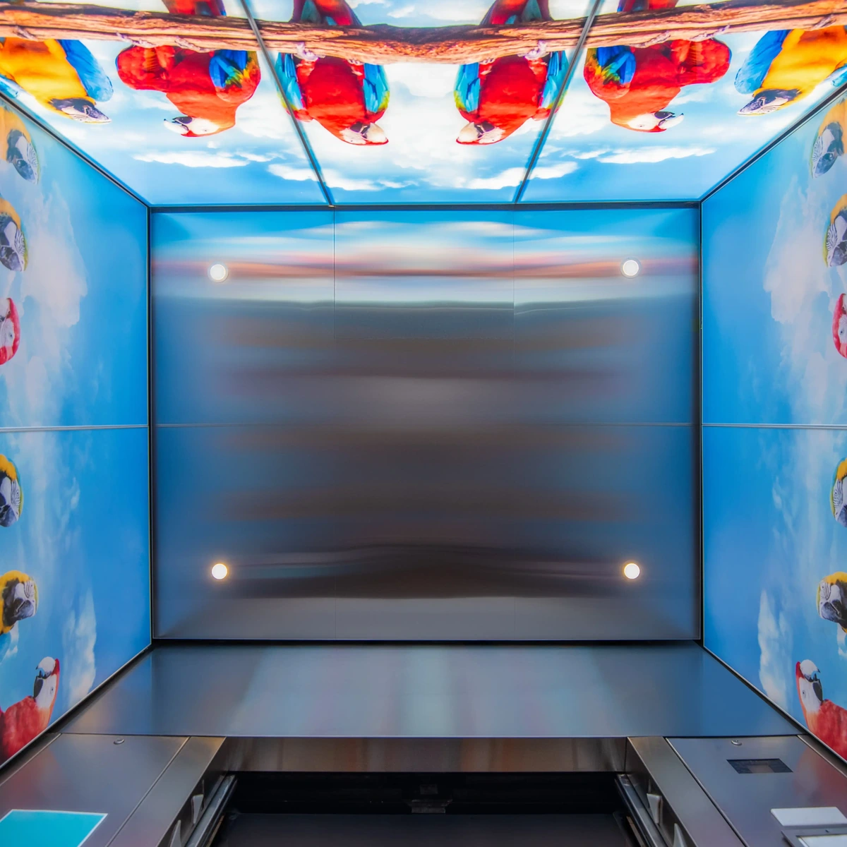 metal-elevator-ceiling-standard-2-field-2