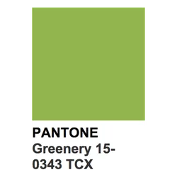 Eucalyptus Tint