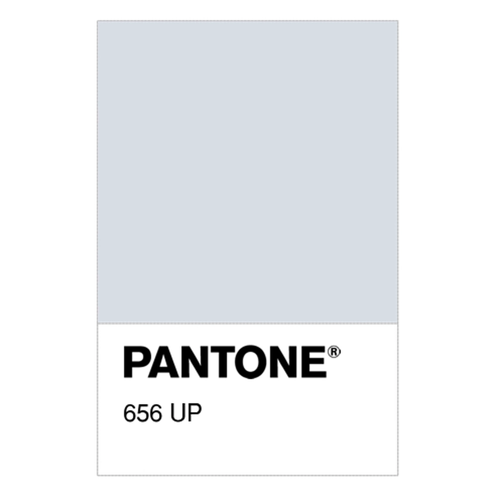 Stone Canvas