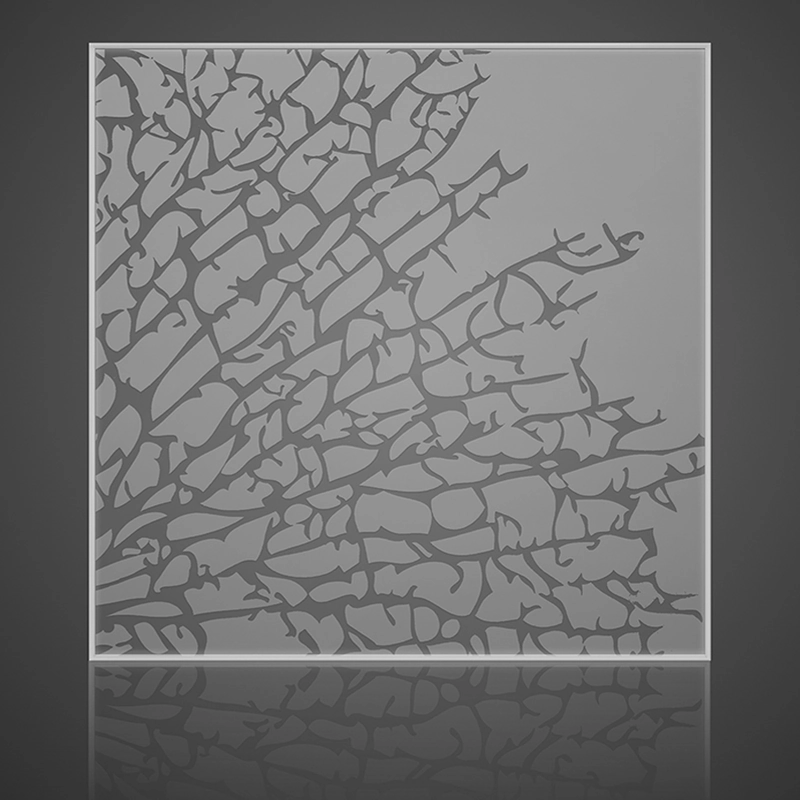 Kelp