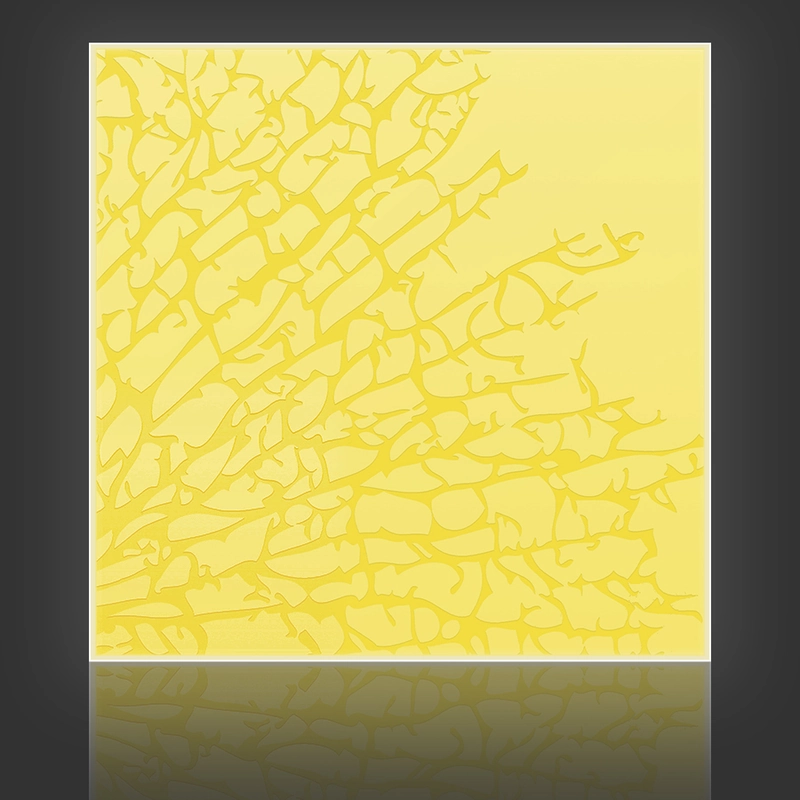 Kelp
