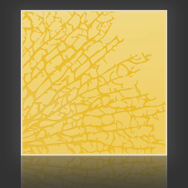 Kelp