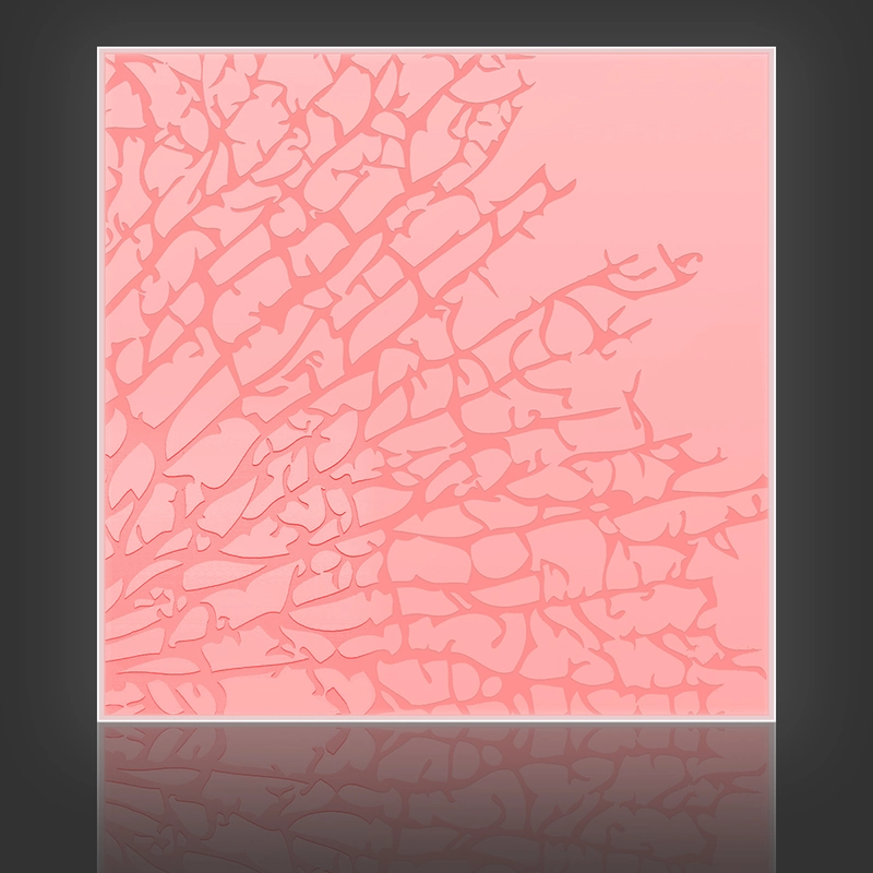 Kelp