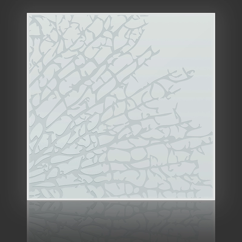 Kelp