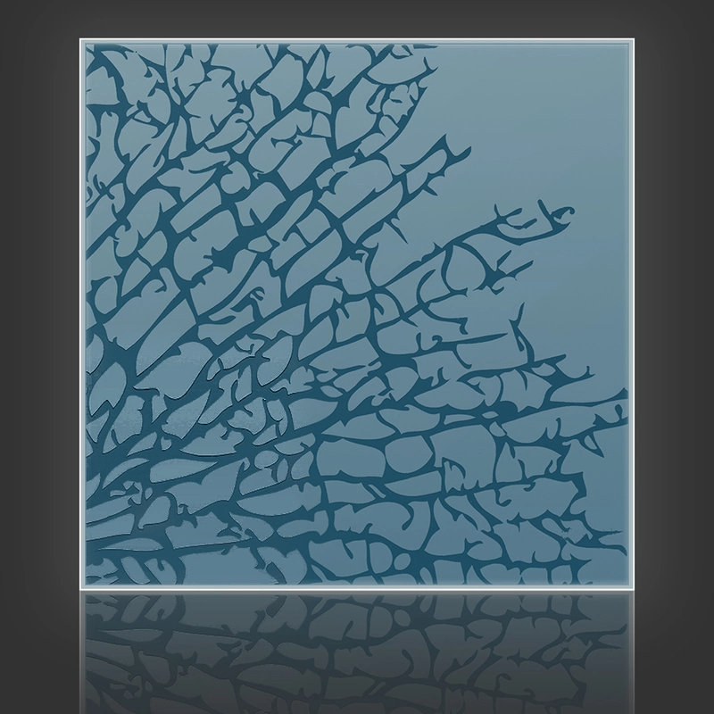 Kelp