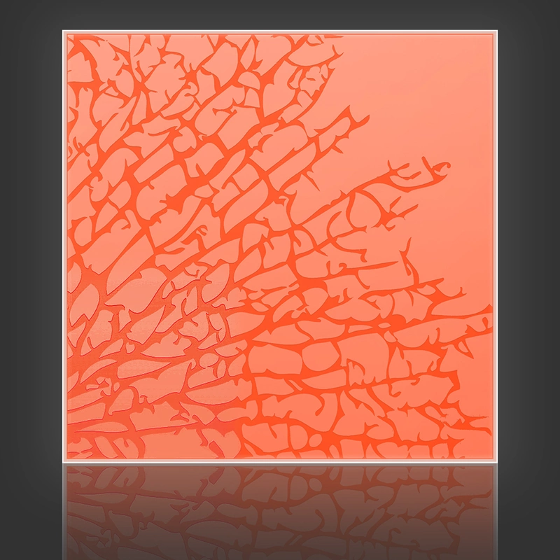 Kelp