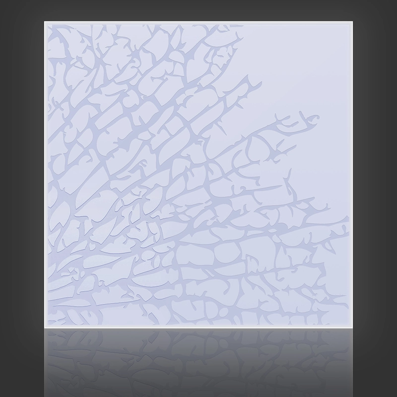 Kelp