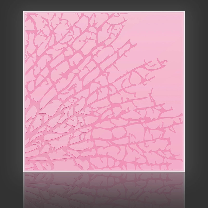 Kelp