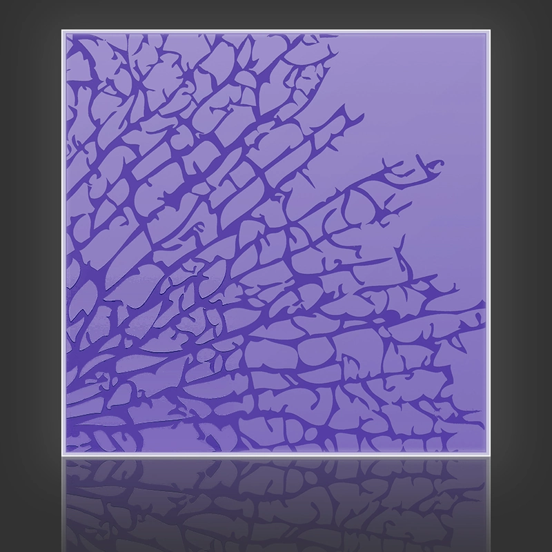 Kelp