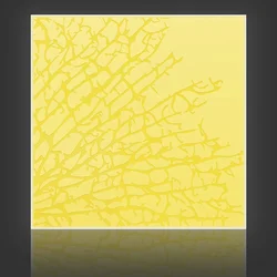 Kelp