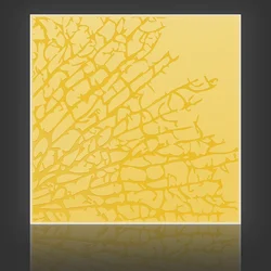 Kelp