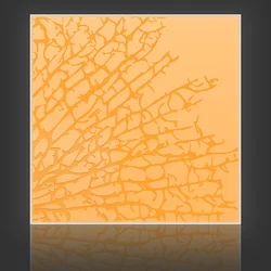 Kelp