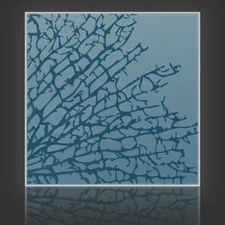 Kelp