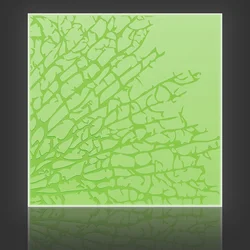 Kelp