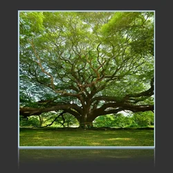 Wide Tree