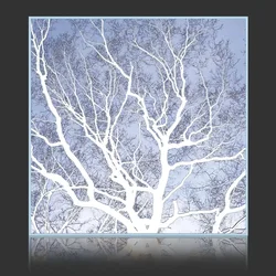Winter Tree Backlit