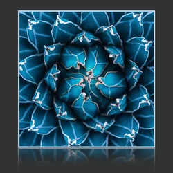 Blue Agave
