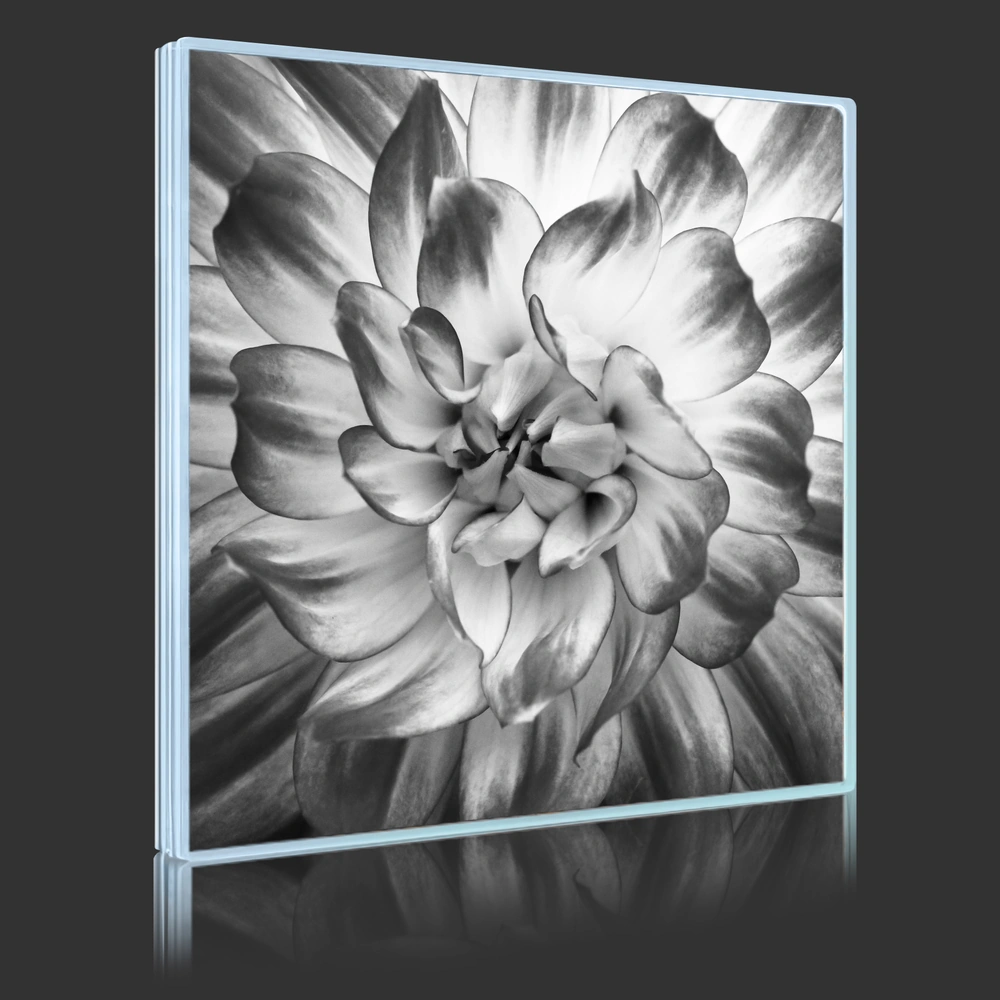 Lotus In Black And White