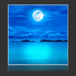 Moonlight Over Lake