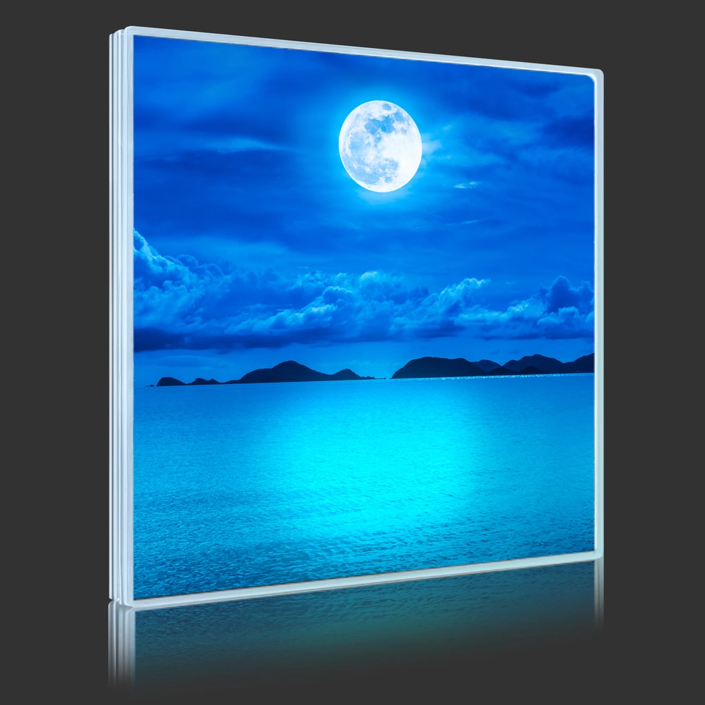 Moonlight Over Lake