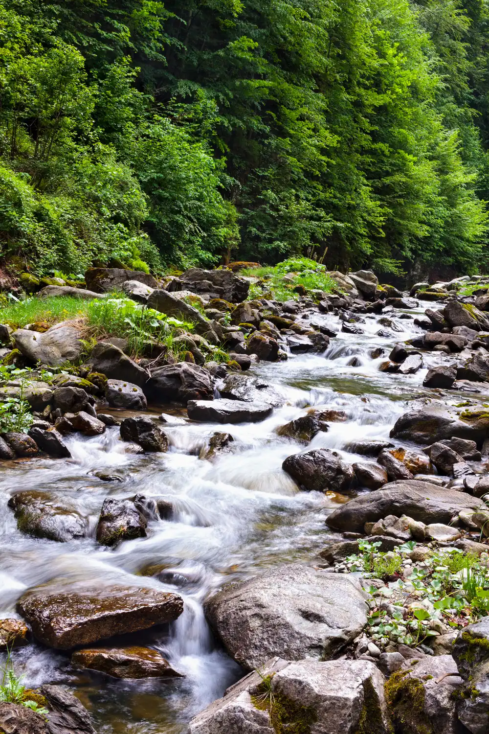 Mountain River