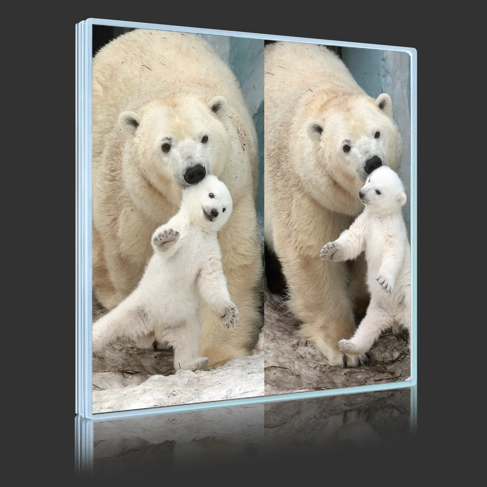 Polar Bear And Cub