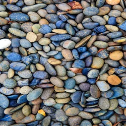 River Stones