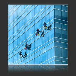Window Washers