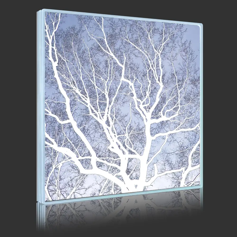 Winter Tree Backlit