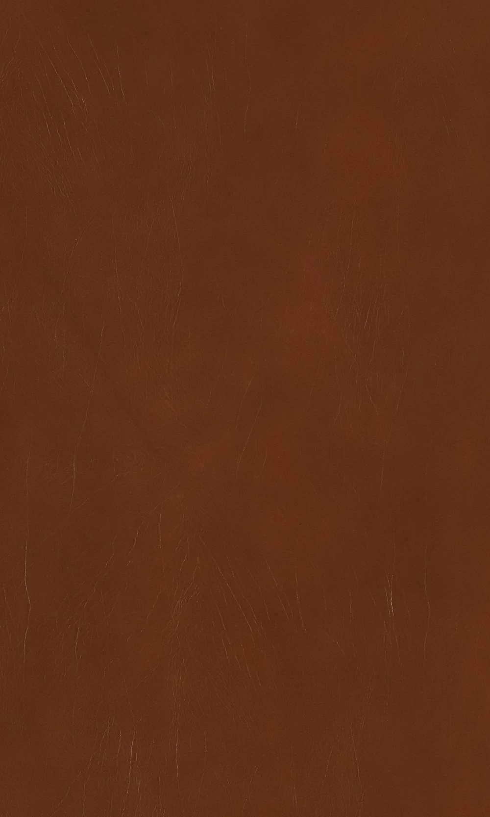 Cacao Hide