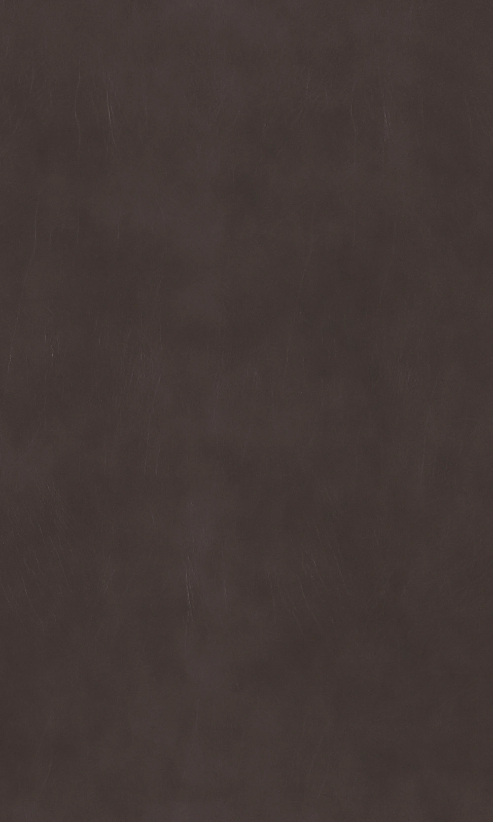 Weathered Leather