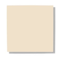 Manhattan Beige 913