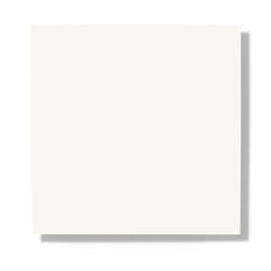 White 511