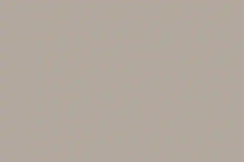 Canyon Beige