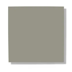 Autumn Grey 1910