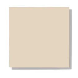 Chenise Beige 515