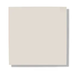 Latte 509