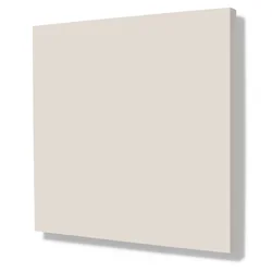 Latte 509