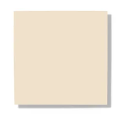 Manhattan Beige 913