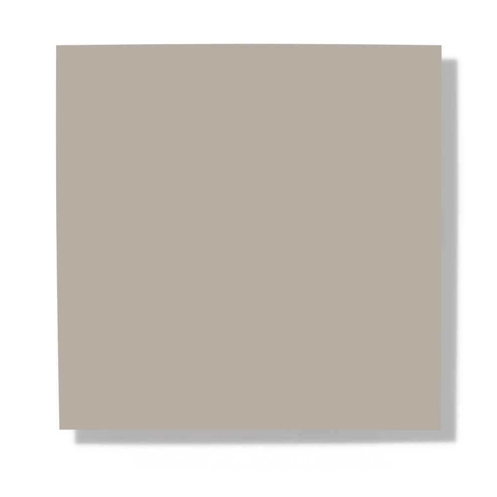 Pastel Beige 520
