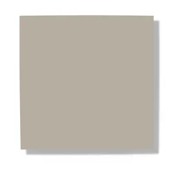 Pastel Beige 520