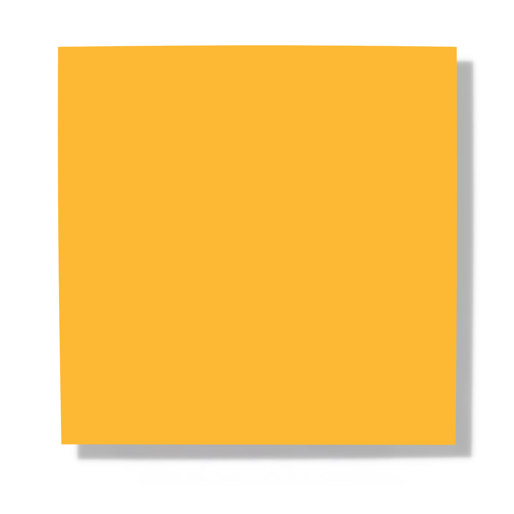 Pied Yellow 960