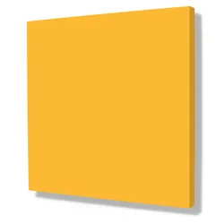 Pied Yellow 960