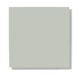 Turtle Grey 579