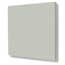 Turtle Grey 579