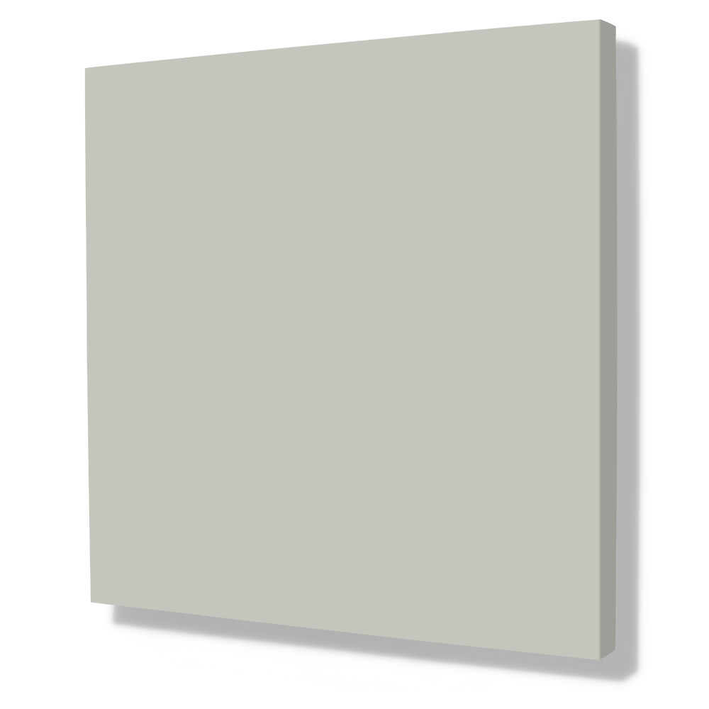 Turtle Grey 579